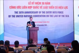 Assistant to the Minister of Foreign Affairs Nguyen Minh Vu speaks at the event. (Photo: VNA)