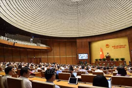 National Assembly deputies discuss issues on socio-economic development and State budget on May 29. (Photo: VNA) 