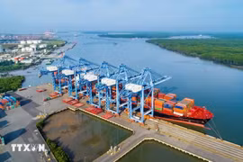 Cai Mep-Thi Vai port is a factor that helps Ba Ria-Vung Tau province attract FDI. (Photo: VNA)