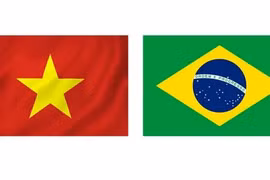 Vietnam and Brazil established diplomatic ties on May 8, 1989. (Photo: VNA)