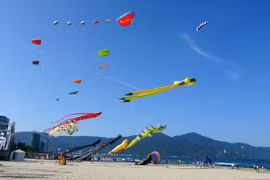 Colourful kite festival held in Da Nang