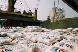 Rice export upbeat in first half