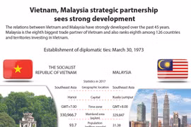 Vietnam, Malaysia strategic partnership sees strong development