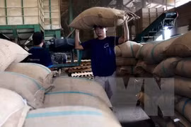 Agro-forestry-fishery posts highest GDP growth in decade