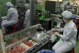 Standardize GMP in manufacturing dietary supplements