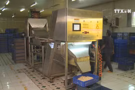 Cashew businesses lack capital, materials