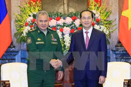 Defence cooperation important to Vietnam-Russia ties: President