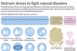 Vietnam strives to fight natural disasters