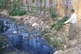 International support for Vietnam in livestock waste treatment 