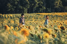 Curtain comes down on Hanoi Int’l Film Festival