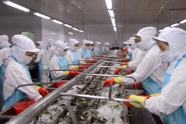 EC to review yellow card against Vietnamese fisheries