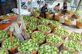 Fruit, veggie exports likely to earn Vietnam 4.7 billion USD in 2018