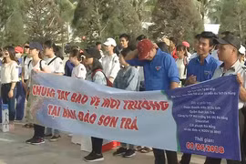 Youth in Da Nang join hands to clean Son Tra peninsula 
