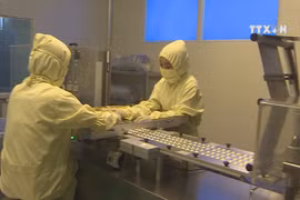 Technology helps boost labour productivity