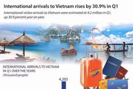 International arrivals to Vietnam rises by 30.9% in Q1