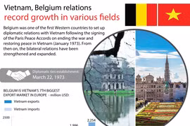 Vietnam, Belgium relations record growth in various fields
