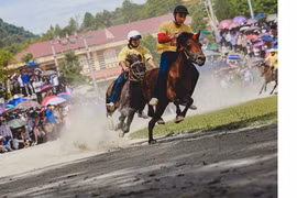 Horse race on the Bac Ha Plateau