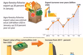 Agro-forestry-fisheries export up 26 percent in January