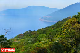 Son Tra Peninsula - gift of The Creator