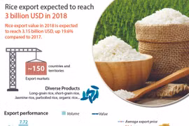 Rice export expected to reach 3 billion USD