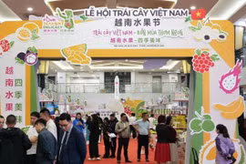 First Vietnam fruit festival opens in China
