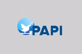 PAPI index of five centrally-governed cities