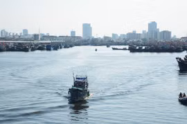 Da Nang fishermen start fishing after Tet