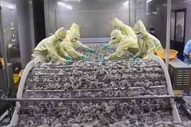 Agro-forestry-fishery exports up in Jan-April