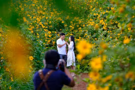 Da Lat among world's top destinations for flowers