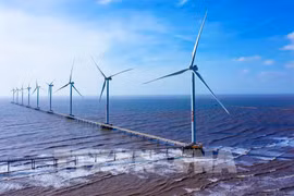 Vietnam’s energy transition facing challenges