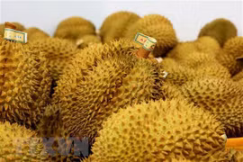 Fruit and vegetable exports rebound, hopefully to reach 5 billion USD target