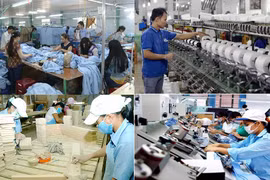 Human resources a driving force for southeastern region’s development: Official