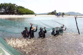 Hanoi harvests over 25,000 tonnes of aquatic products in first quarter