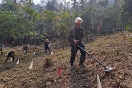 Training course opened for mine action workers