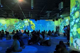 Van Gogh Art Lighting Experience captivates art enthusiasts in HCM City