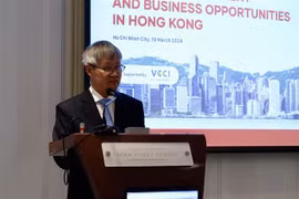 Business meeting highlights business, investment cooperation opportunities for Vietnam, Hong Kong (China) 