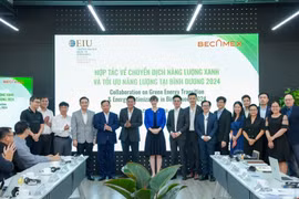 Binh Duong, UK cooperate in promoting green energy