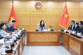 Vietnamese language training to get due attention among OVs: official