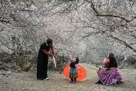 Vietnam developing community-based tourism