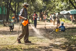 Thailand’s dengue fever cases spike