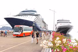 Int’l cruise ships to bring 80,000 visitors to Quang Ninh