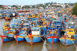  Kien Giang makes efforts to overcome EC warnings against illegal fishing