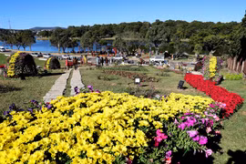 Da Lat honoured with Asia Festival City Award