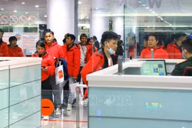 Minister affirms effective protection of overseas Vietnamese