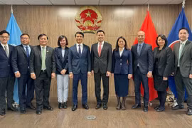 Vietnamese youth’s position in international arena to be enhanced