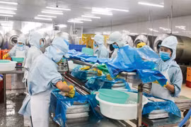 Vegetable, fruit exports see large potential in Southeast Asia, Middle East: forum