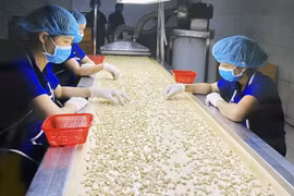 Vietnamese economy forecast to expand at 5.5 % in Q1