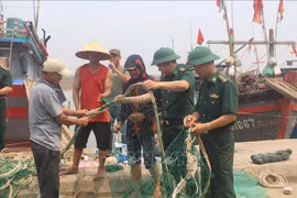 Thanh Hoa promotes efforts to effectively combat IUU fishing