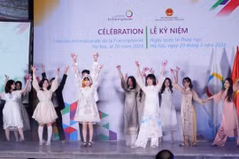 Vietnam contributing to realising objectives of Francophone Community: Deputy FM