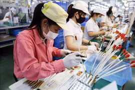 Red River Delta’s industrial parks lures 390 FDI projects in 2023